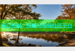 麻豆传媒：直播与视频社区平台