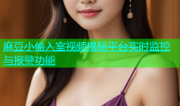 麻豆小偷入室视频揭秘平台实时监控与报警功能