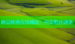 麻豆映画在线播放：中文影片速享