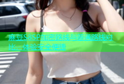 麻豆S8SP加密路线与普通路线对比，体验安全便捷