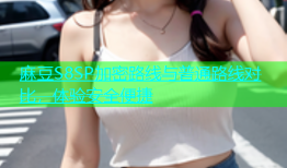 麻豆S8SP加密路线与普通路线对比，体验安全便捷