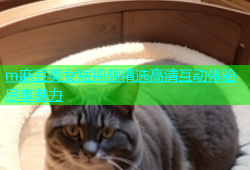 m麻豆美女短视频精选高清互动体验尽享魅力