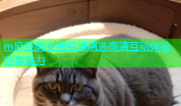 m麻豆美女短视频精选高清互动体验尽享魅力