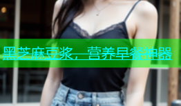 黑芝麻豆浆，营养早餐神器