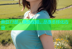 麻豆73部：精选视频，尽享多样化内容