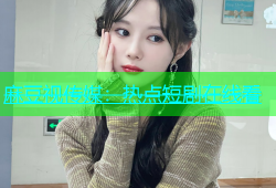 麻豆视传媒：热点短剧在线看