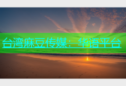 台湾麻豆传媒：华语平台
