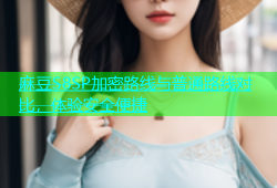麻豆S8SP加密路线与普通路线对比，体验安全便捷