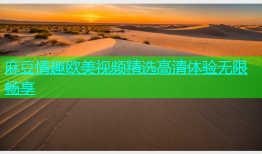 麻豆情趣欧美视频精选高清体验无限畅享