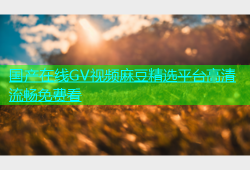 国产在线GV视频麻豆精选平台高清流畅免费看