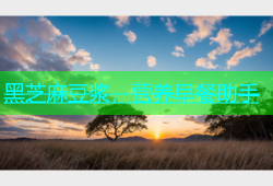 黑芝麻豆浆，营养早餐助手