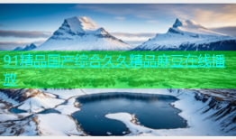 91精品国产综合久久精品麻豆在线播放