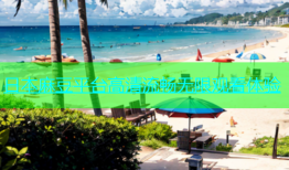日本麻豆平台高清流畅无限观看体验