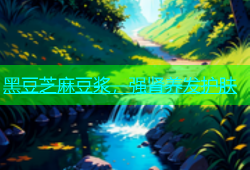 黑豆芝麻豆浆，强肾养发护肤