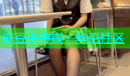 麻豆视传媒：华语社区