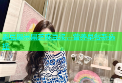 黑豆黑米黑芝麻豆浆，营养早餐新选择