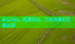 麻豆044：高清在线，午夜寂寞的专属乐园