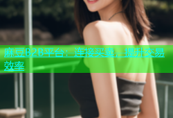 麻豆B2B平台：连接买卖，提升交易效率