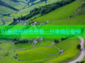 91麻豆视频免费看，尽享精彩影视