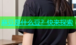 麻豆是什么豆？快来探索