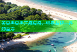 黄豆黑豆黑芝麻豆浆，强身益智，养颜益寿