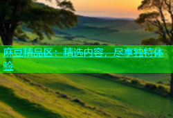 麻豆精品区：精选内容，尽享独特体验