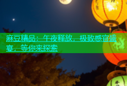 麻豆精品：午夜释放，极致感官盛宴，等你来探索