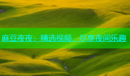 麻豆夜夜：精选视频，尽享夜间乐趣