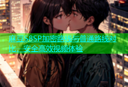 麻豆S8SP加密路线与普通路线对比，安全高效视频体验