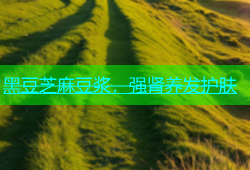 黑豆芝麻豆浆，强肾养发护肤