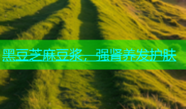 黑豆芝麻豆浆，强肾养发护肤