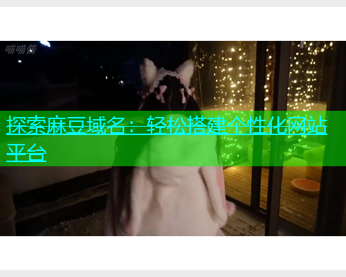 探索麻豆域名：轻松搭建个性化网站平台