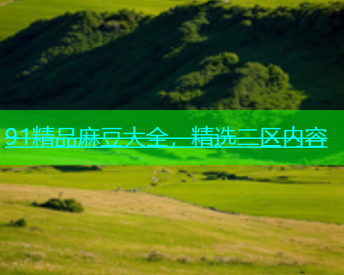 91精品麻豆大全，精选二区内容