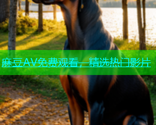 麻豆AV免费观看，精选热门影片