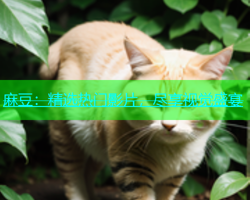麻豆：精选热门影片，尽享视觉盛宴