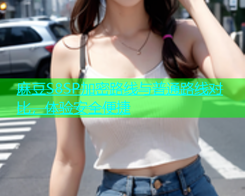 麻豆S8SP加密路线与普通路线对比，体验安全便捷