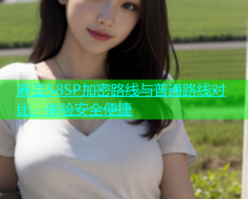 麻豆S8SP加密路线与普通路线对比，体验安全便捷