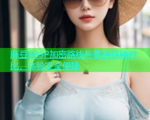 麻豆S8SP加密路线与普通路线对比，体验安全便捷
