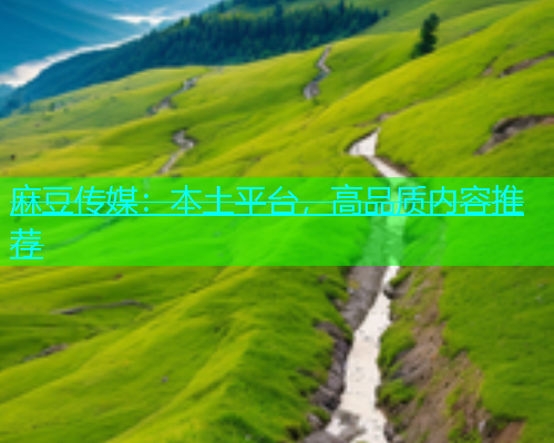 麻豆传媒：本土平台，高品质内容推荐