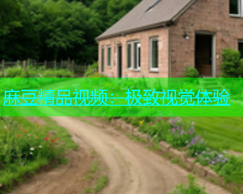 麻豆精品视频：极致视觉体验