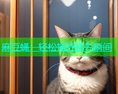 麻豆蝇：轻松捕捉精彩瞬间