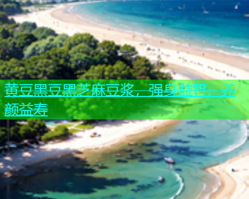 黄豆黑豆黑芝麻豆浆，强身益智，养颜益寿