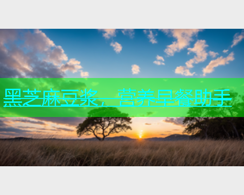 黑芝麻豆浆，营养早餐助手
