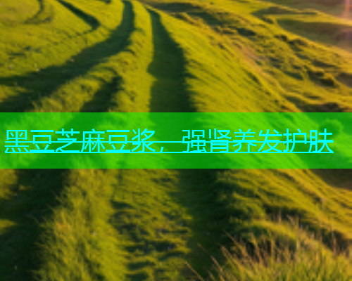 黑豆芝麻豆浆，强肾养发护肤