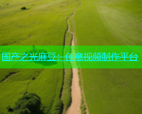 国产之光麻豆：创意视频制作平台