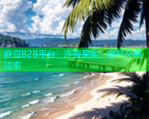 麻豆B2B平台：连接买卖，提升交易效率