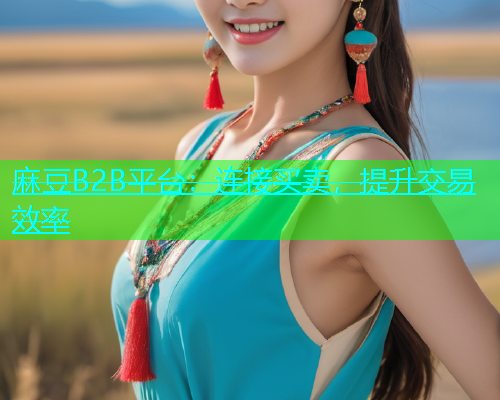 麻豆B2B平台：连接买卖，提升交易效率