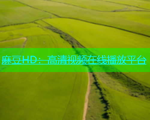 麻豆HD：高清视频在线播放平台