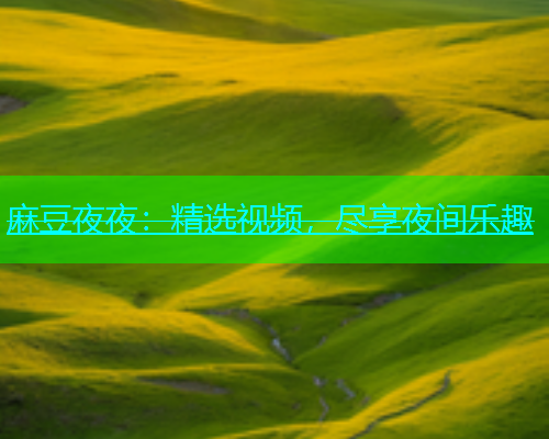 麻豆夜夜：精选视频，尽享夜间乐趣