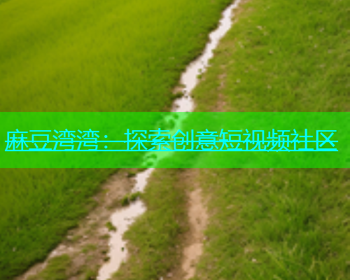 麻豆湾湾：探索创意短视频社区